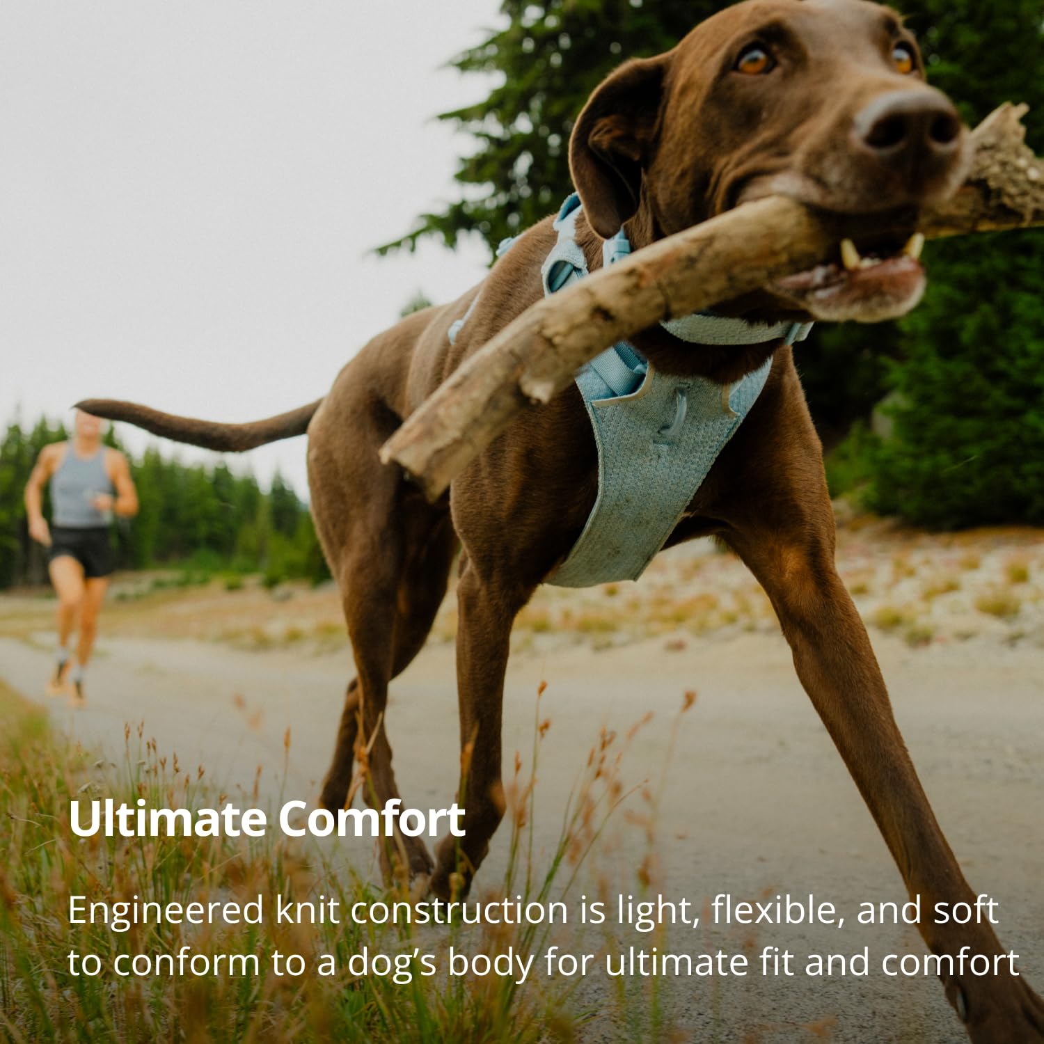 Amazon | RUFFWEAR(ラフウェア) フロントレンジフレックスハーネス